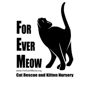 forevermeow-logo.jpeg