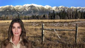 Sandi Lewis Local Real Estate Agent Parker CO