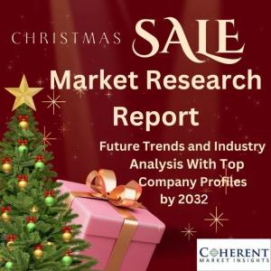 ASIC Chip Market Size
