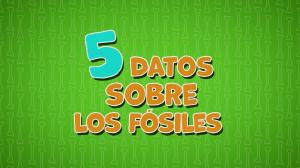 Thumbnail for Fossils video from LearningMole's free Spanish educational collection