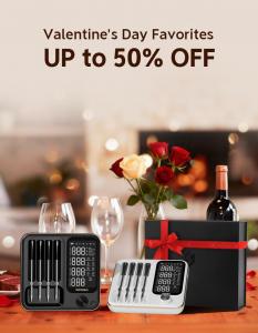 INKBIRD Valentine's Day Sale