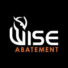 wise abatement
