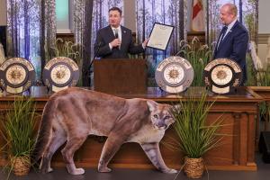 Senator Jason Brodeur presents Florida State Parks Foundation Board President Matt Caldwell with a Senate Resolution declaring Feb. 4, 2026, as Florida State Parks Day. Photo by Colin Hackley.