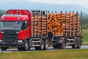 Grade Timber Log Hauling