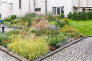 Spring Landscape Trends: Expert Insights for New Jersey & Pennsylvania Homeowners