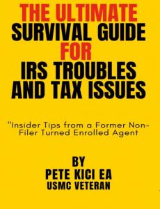 The ultimate Survival Guide for Tax Issues and Troubles