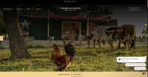 nicest place to stay in fredericksburg tx 2026