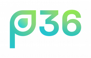 p36 gmbh