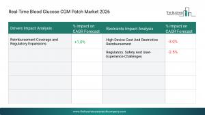 Real-Time Blood Glucose CGM Patch Market Report