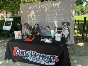 Off leash k9 training Albany