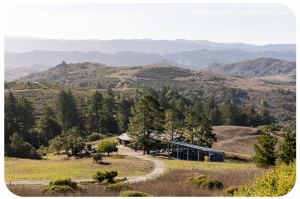 Djerassi Resident Artists Program - Photo of land and buildings