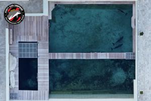 One of the dolphin tanks at the Hyatt Ziva Cancún, in Mexico, where captive animals are forced to work as an entertainment attraction for guests.