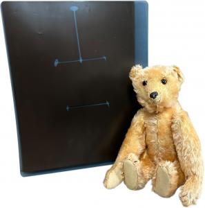 16-inch-tall 1904 Steiff “rod bear” featuring rare apricot mohair, gutta percha nose, elongated muzzle, top of head ear-to-ear stitching, shoe button eyes, elephant ear button and X-ray of interior torso. Sold for $20,400