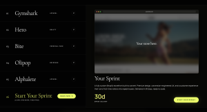 Liquid Lemon Shopify agency portfolio featuring Gymshark, Hero Cosmetics, Bite, Olipop, and Alphalete