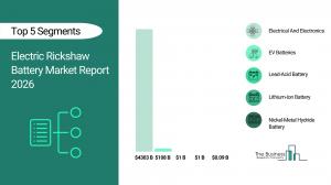 electric rickshaw battery market size