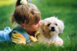 Organic lawn care, Safe Fertilizer, Safe weed control, safe pest control