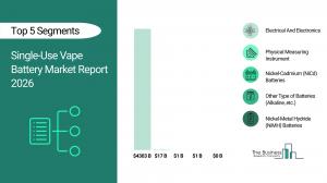 Single-Use Vape Battery Global Market Report 2026_Segments