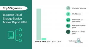 Business Cloud Storage Service Global Market Report 2026_Segments