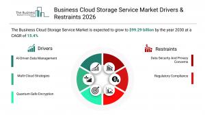Business Cloud Storage Service Global Market Report 2026_Drivers