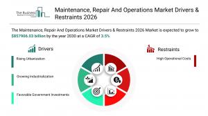 maintenance repair and operations market share