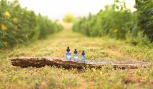 Earth Buddy’s 2022 observational study allowed participating pet parents to try out a handful of their best-selling products.