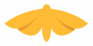 Woolly Bear Capital Announces Final Close of Cherry Fund II 7 wbc logo