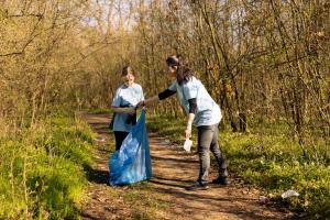 Spring Cleanup Services Martha's Vineyard