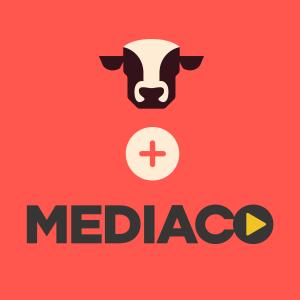 Ribeye + MediaCo announce partnership