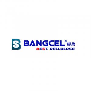 logo for bang shang internation
