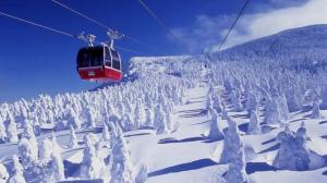 Émerveillez-vous devant les arbres gelés surnommés les « Monstres de neige » de Miyagi Zao (via le partenaire de KKday).