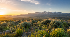 Sierra Nevada sunrise over sagebrush symbolizing healing and recovery in Reno Nevada