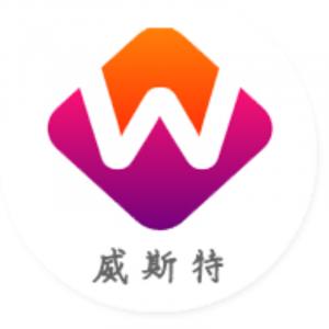 Chinese Top 3 Steel Pipe Grinding Machine Manufacturers in 2026: Leading Global Tube Processing Innovation 7 logo for jiangyin west machiner