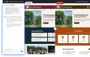 Design Agent allows you to customize website design with no coding required.