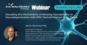 Webinar: Human 3D Brain Models for Neurodegenerative Disease Research