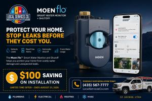 Moen Flo - Plumbing Installation St. George Utah by Local Services Inc.
