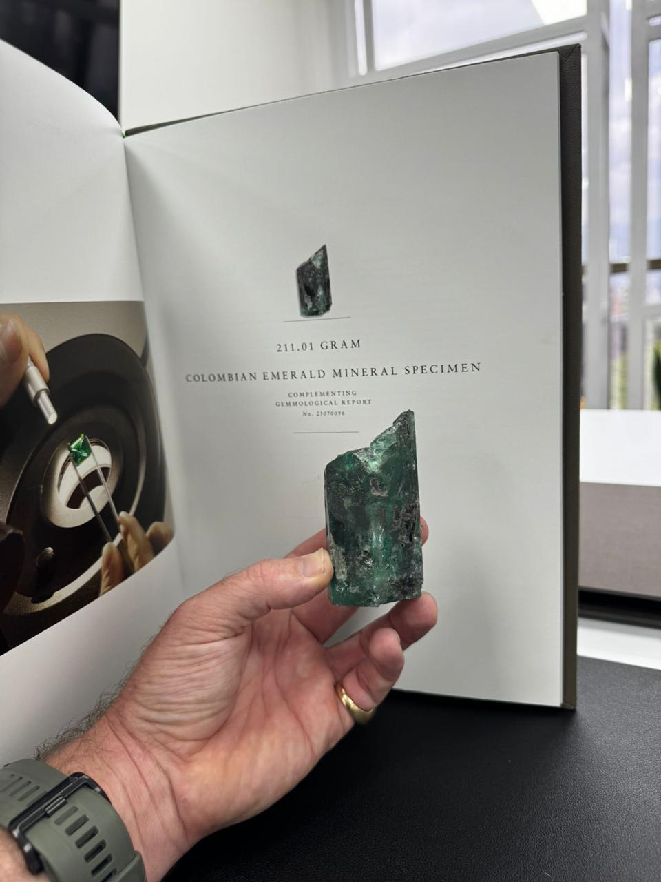 Gemological Book View