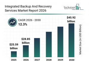 The Integrated Backup and Recovery Services Market Share