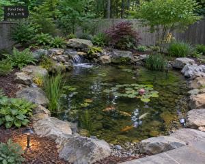 Aquascape pond