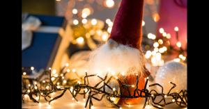 Christmas light installation in Jacksonville, FL