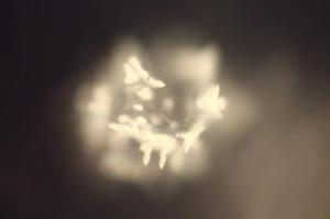 Blurry, fragmented water crystal from untreated Tokyo tap water, photographed at the Emoto Lab