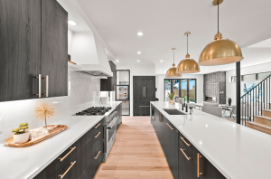 Paragon Concepts Cabinet Doors