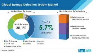 Sponge Detection System Market