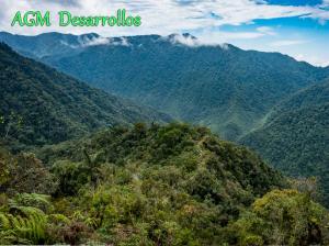 Scene of beautiful Colombian Mountains