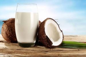 Coconut Milk Market