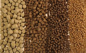 Floating Fish Feed Market