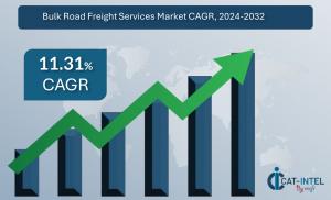 Bulk Road Freight Services Market