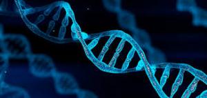 Genetic Testing Market