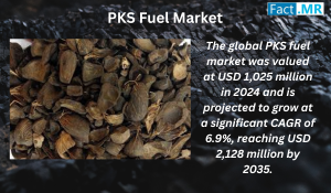 PKS Fuel Market