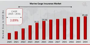 Marine Cargo Insurance Market Growth