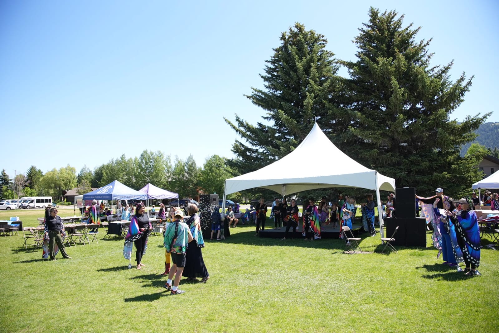 The Grand Butterfly participants enjoy the day during last year's event on June 29. Photo: The Trueness Project.